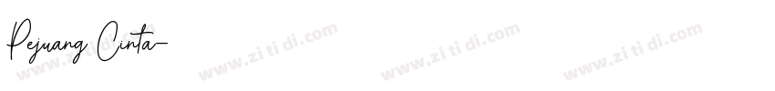 Pejuang Cinta字体转换